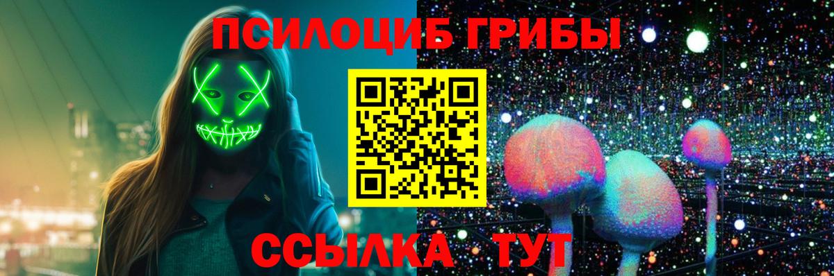 Прокопьевск  Псилоцибиновые грибы Cubensis  Вход с VPN  Псилоцибиновые грибы мицелий 