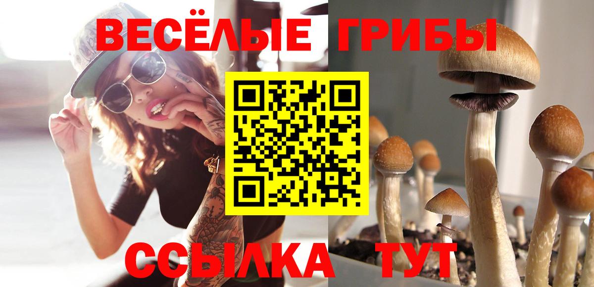 Псилоцибиновые грибы MAGIC MUSHROOMS Прокопьевск